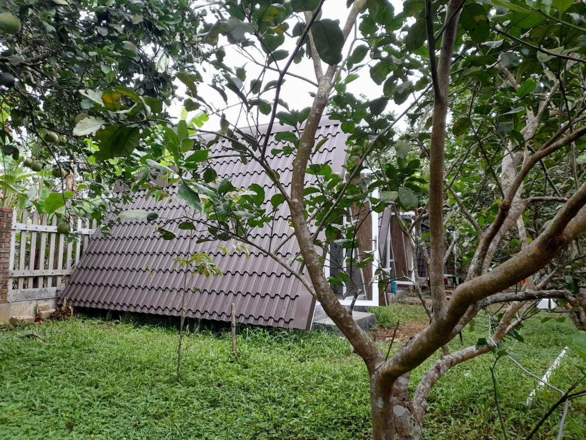 Tam Tinh Vien Homestay Hue Exterior foto